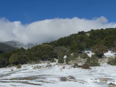 Pino de la Cadena; lugares de montaña senderos interpretativos zapatos para senderismo senderos turi